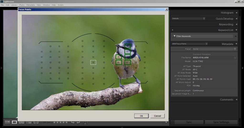 Show Focus Points and Focus Metadata Show Focus Points Metadata from Lightroom